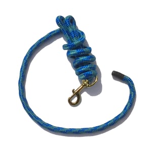 EA 5/8" x 9' Poly Lead with Brass Plated Bolt Snap - Sagebrush Tack