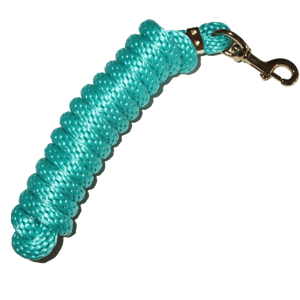 EA 5/8" x 9' Poly Lead with Brass Plated Bolt Snap - Sagebrush Tack