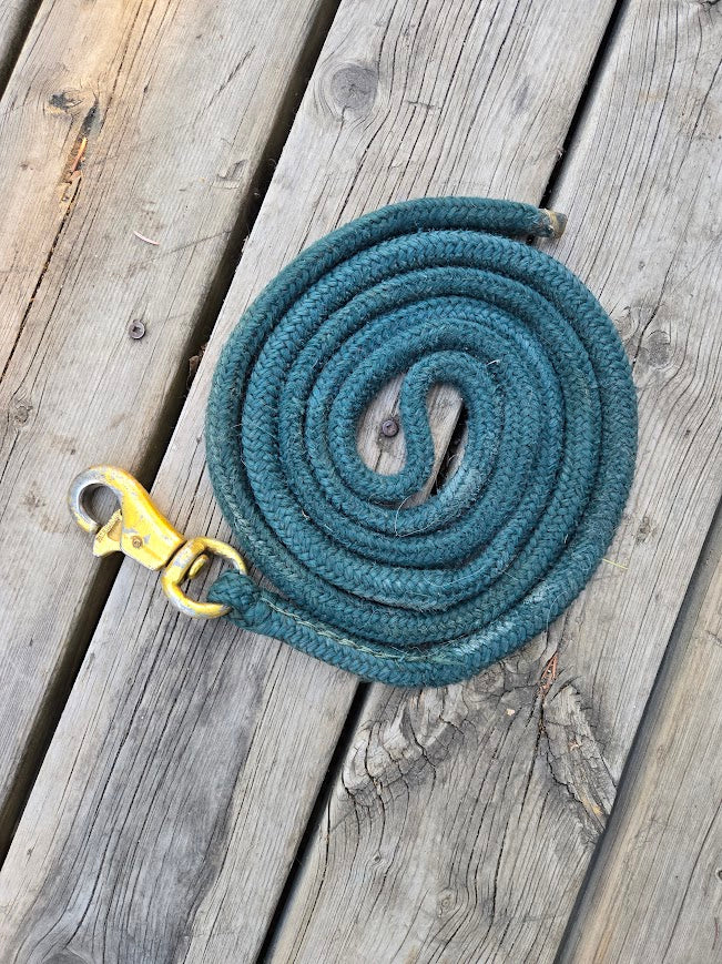 Green Lead Rope