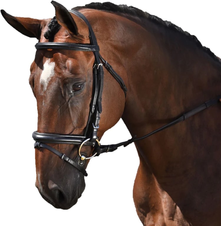M. Toulouse Euro Dressage Bridle