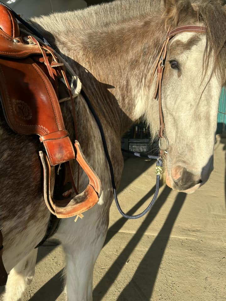 SB 5/8" custom hand-dyed loop reins
