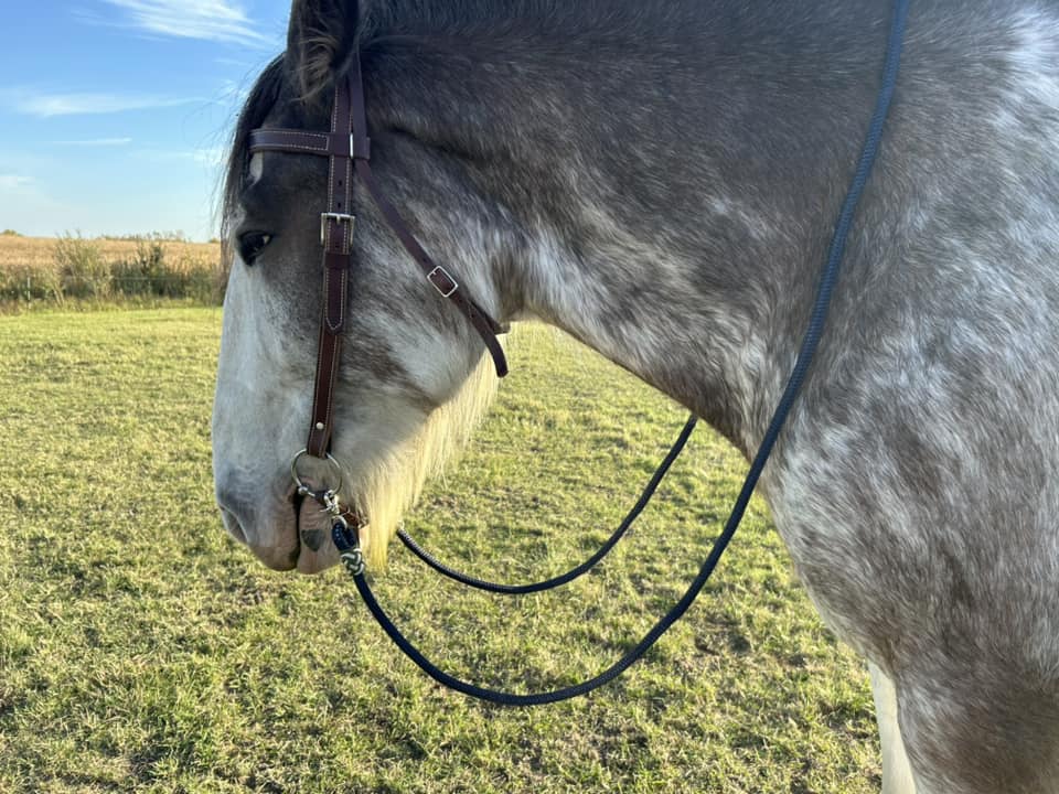 SB 5/8" custom hand-dyed loop reins