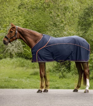 WH Protect Fly Sheet - Navy/Orange - Sagebrush Tack