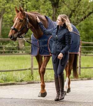 WH Protect Fly Sheet - Navy/Orange - Sagebrush Tack
