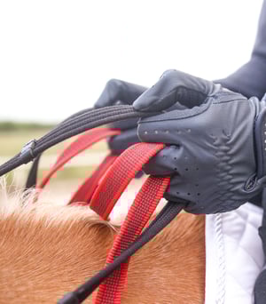 Waldhausen Breastplate with Safety Rein - Sagebrush Tack