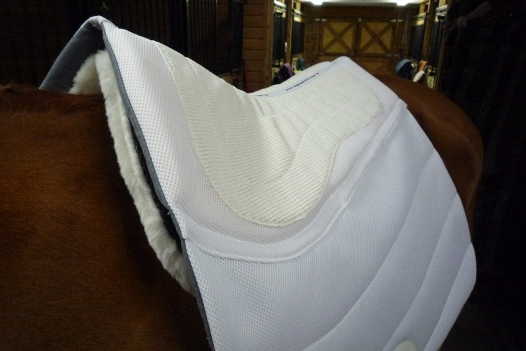 EquineLux Shock-Reducing™ dressage saddle pad with cotton lining and pockets for shims