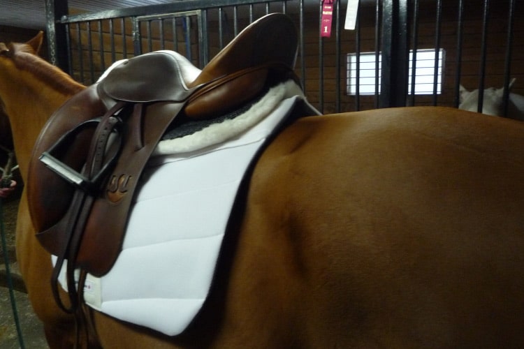 EquineLux Shock-Reducing™ dressage saddle pad with cotton lining and pockets for shims