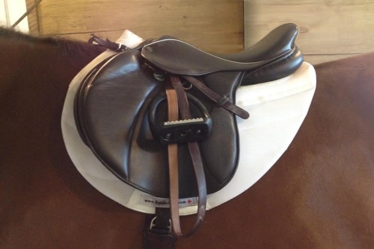EquineLux SHOCK-ABSORBING™ contoured saddle pad with pockets