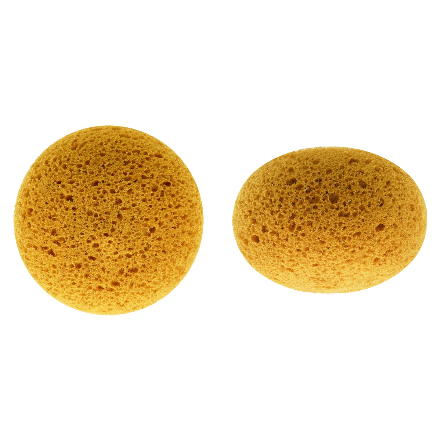 SMA Coarse Pore Tack Sponge 4.5"
