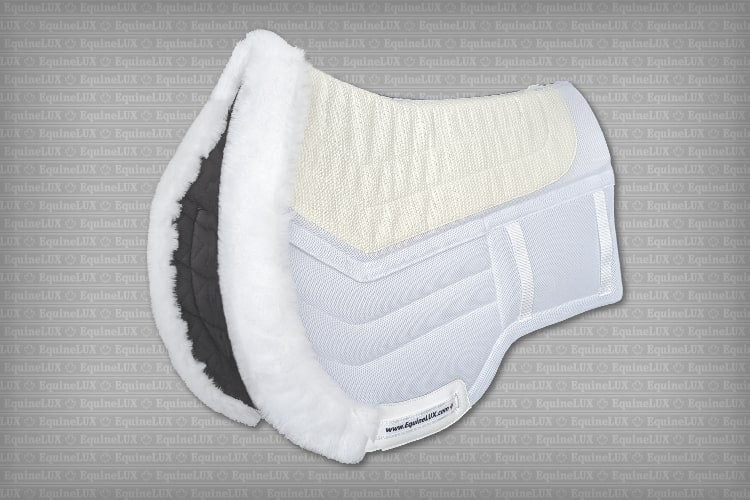 EquineLux Competition Number™ saddle pad with cotton lining, contour roll, and pockets for shims