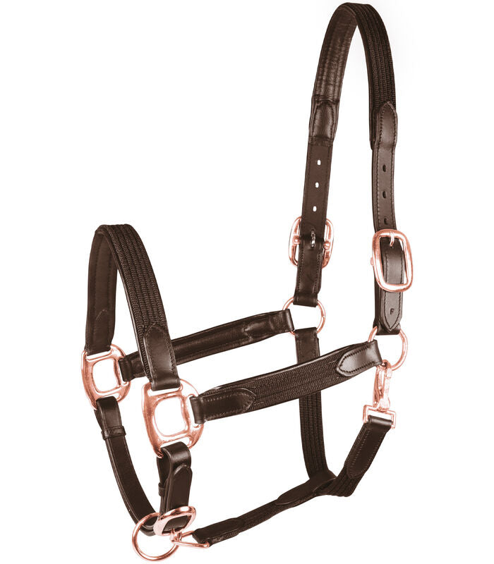 Waldhausen Star Mix Breakaway Halter - Sagebrush Tack