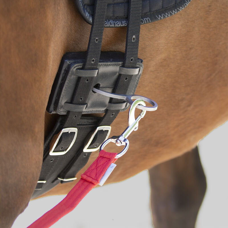Waldhausen Equibender Lunging Aid