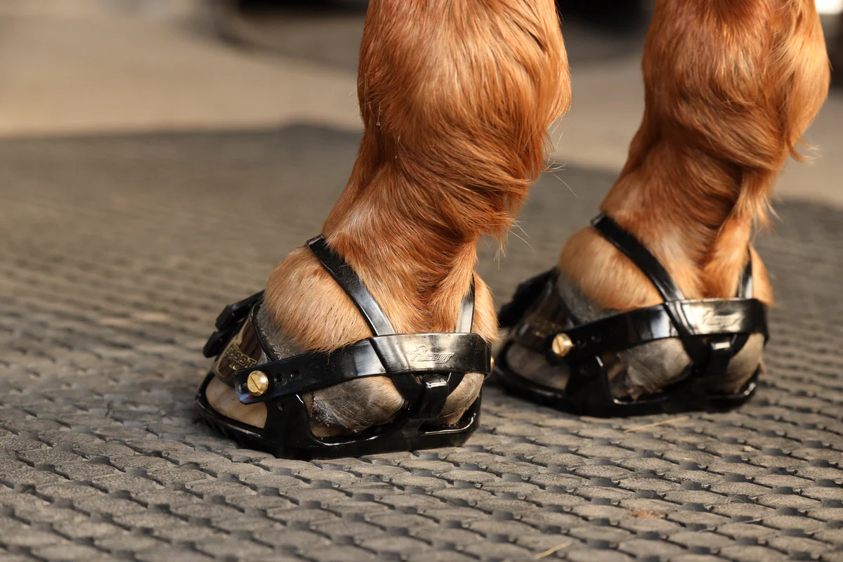 Scoot Boot Enduro Hoof Boots (Pair)