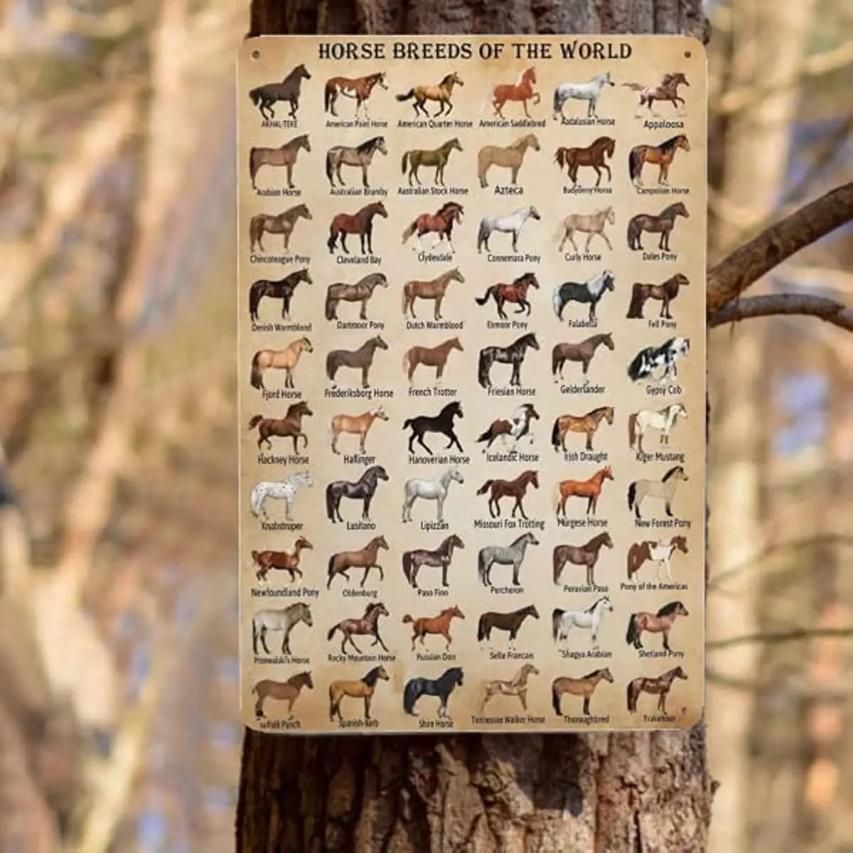 Horse Breeds of The World- Tin Sign