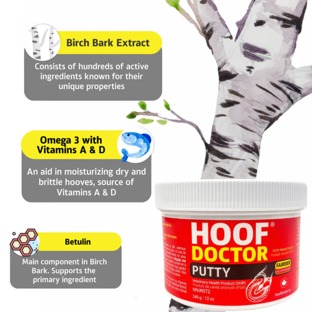 Hoof Doctor Putty - Sagebrush Tack