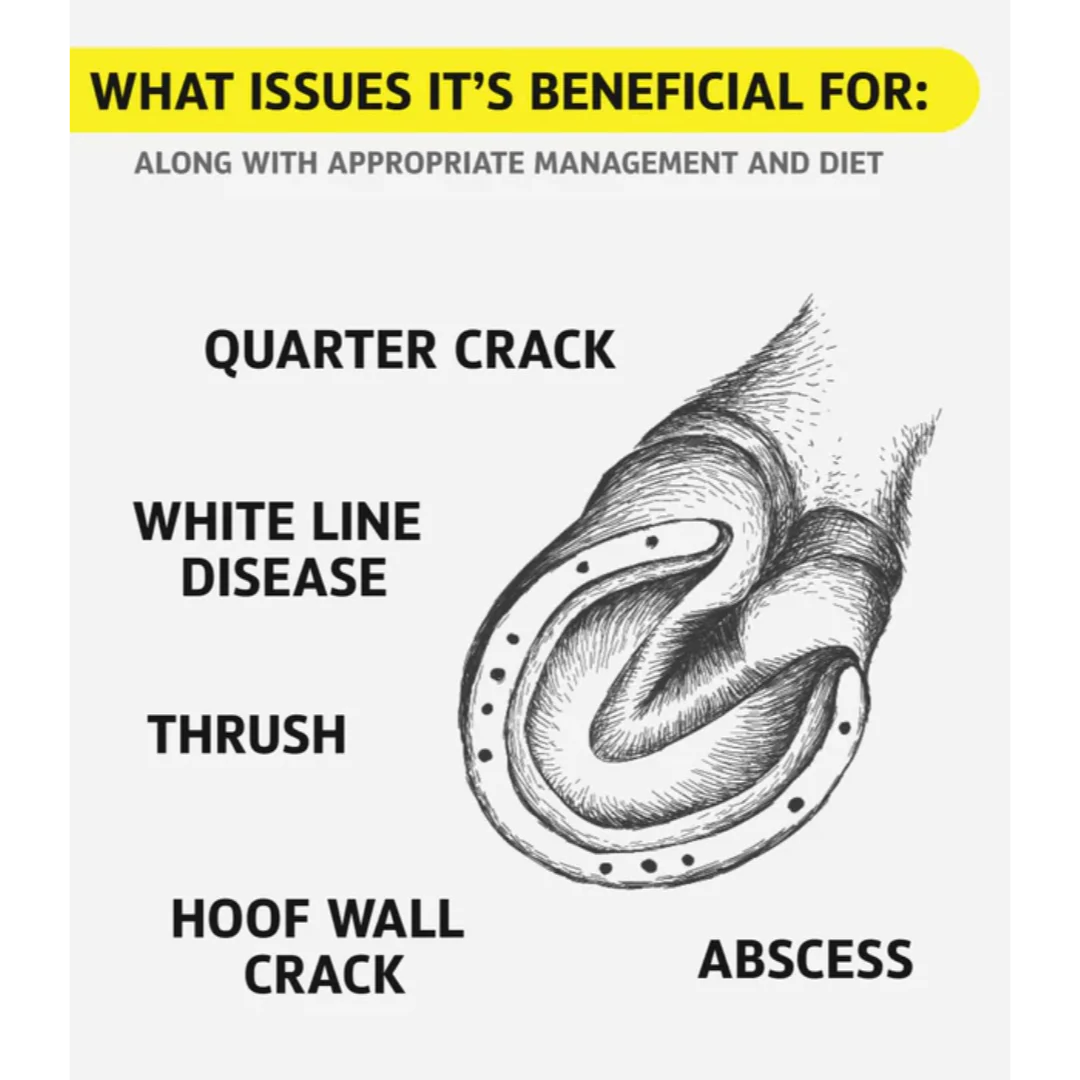 Hoof Doctor Putty - Sagebrush Tack