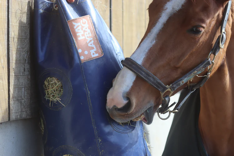 Hay Play Slow Feed Tie Bag (two sizes)