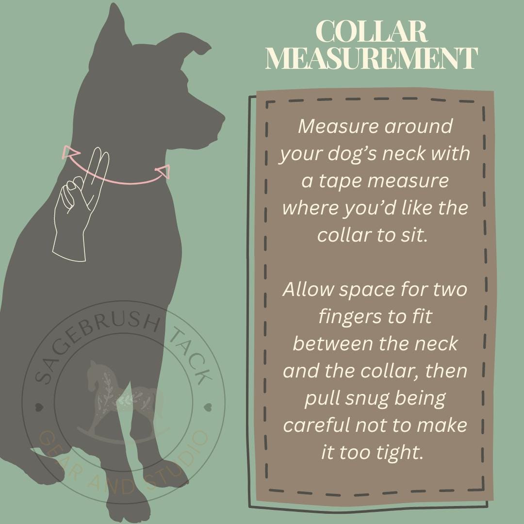 How to measure for a custom dog collar with two-finger rule: Measure around your dog's neck with a tape measure where you'd like the collar to sit. Allow space for two fingers to fit between the neck and collar, being careful not to make it too tight