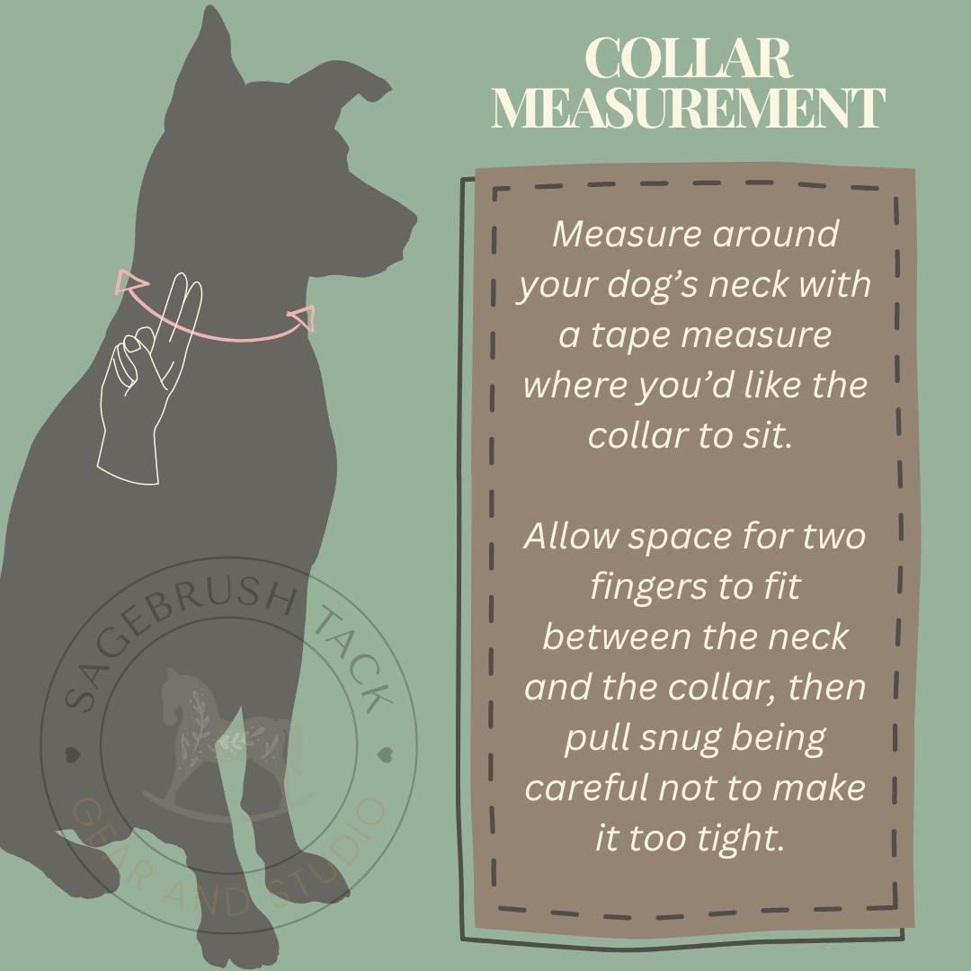 How to measure for a custom dog collar with two-finger rule: Measure around your dog's neck with a tape measure where you'd like the collar to sit. Allow space for two fingers to fit between the neck and collar, being careful not to make it too tight