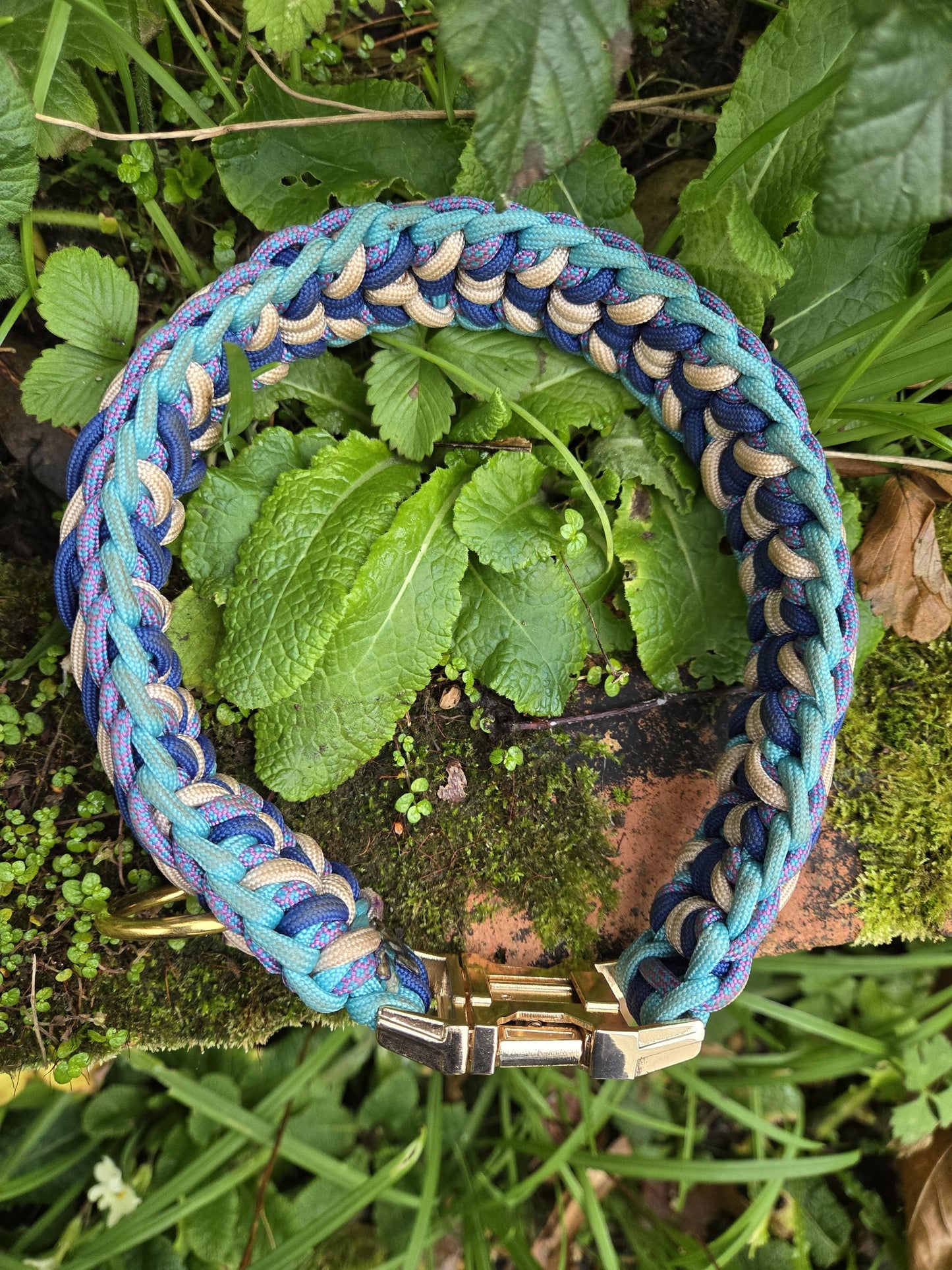 SB Custom waterwave paracord dog collar