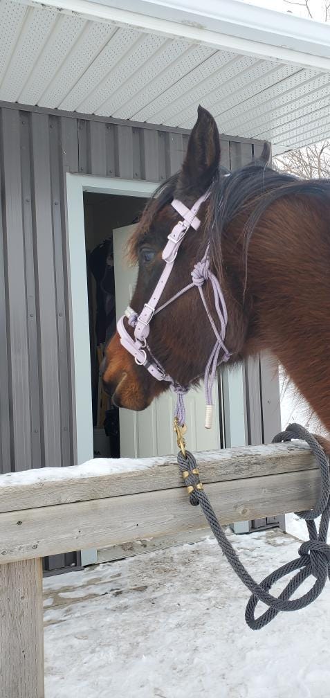 SB Lavender Biothane Endurance adjustable halter / bridle combo with removable noseband/ bitless bridle converter and optional bit attachments