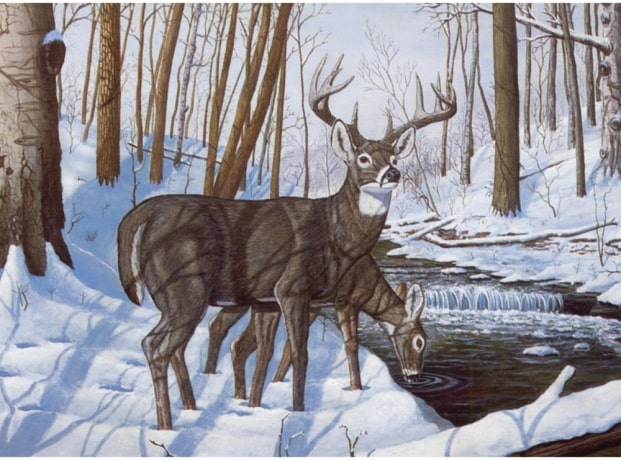 Paint by Number Kit 15" x 11" - Winter Bliss
