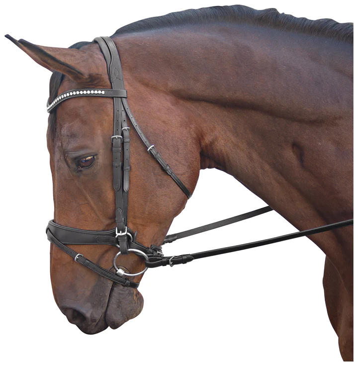 M. Toulouse Comfort Cavesson Dressage Bridle