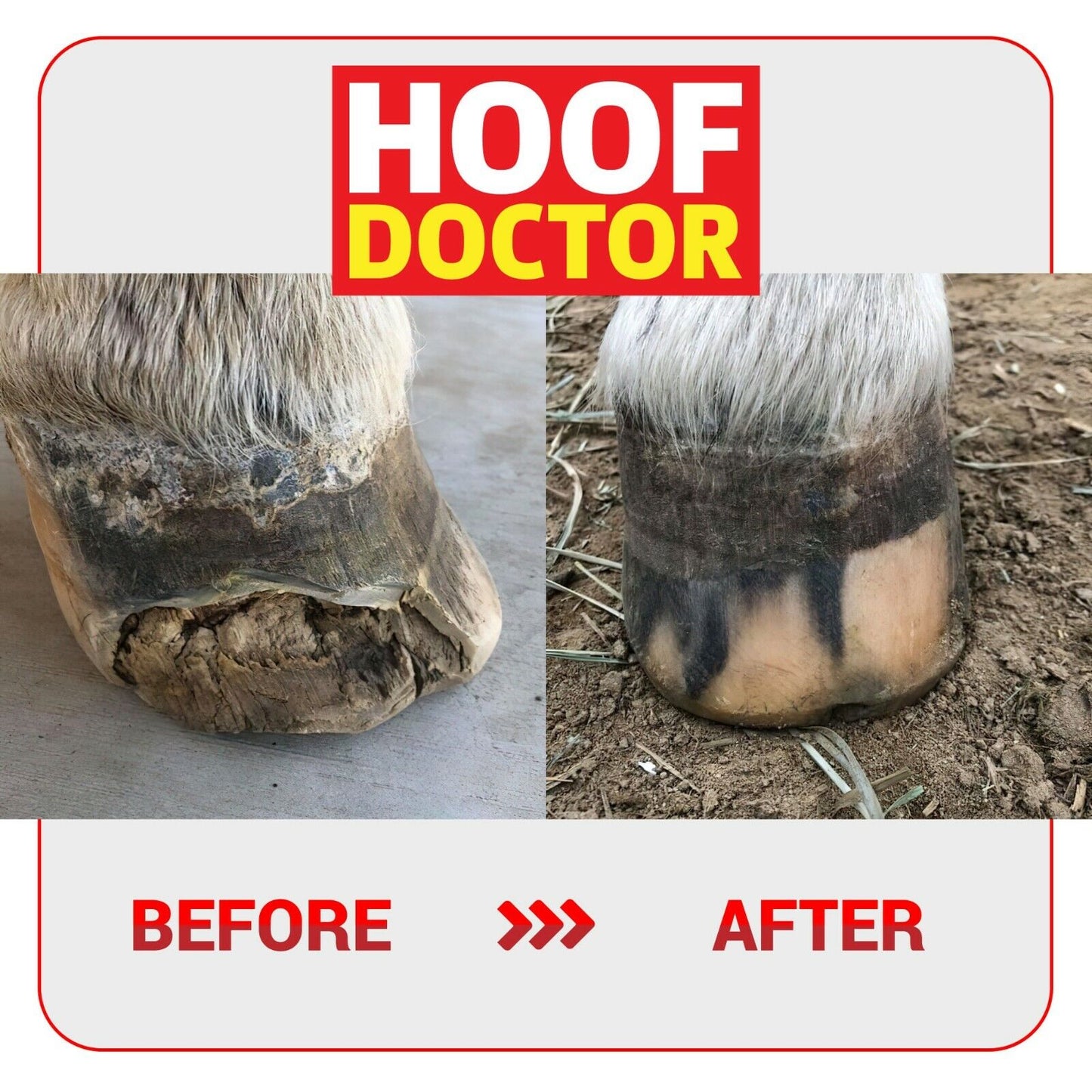 Hoof Doctor - Sagebrush Tack