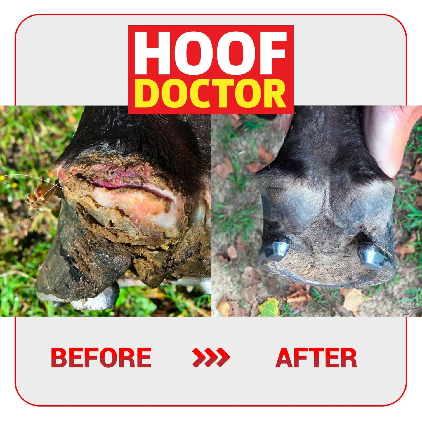 Hoof Doctor - Sagebrush Tack