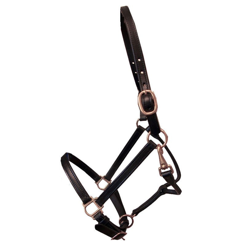 Deluxe Leather Track Halter 3/4" - Sagebrush Tack