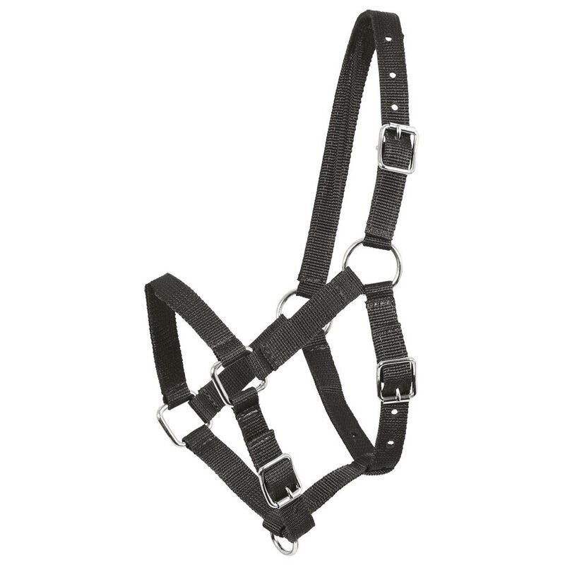 Waldhausen Perlon Foal Halter - Sagebrush Tack