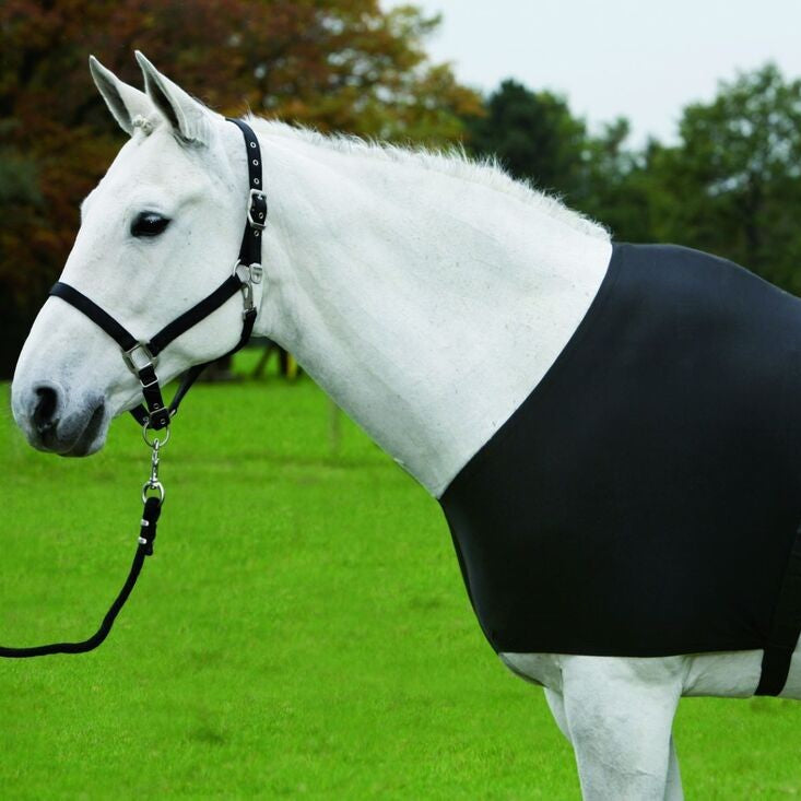 Waldhausen Shoulder Guard - Sagebrush Tack