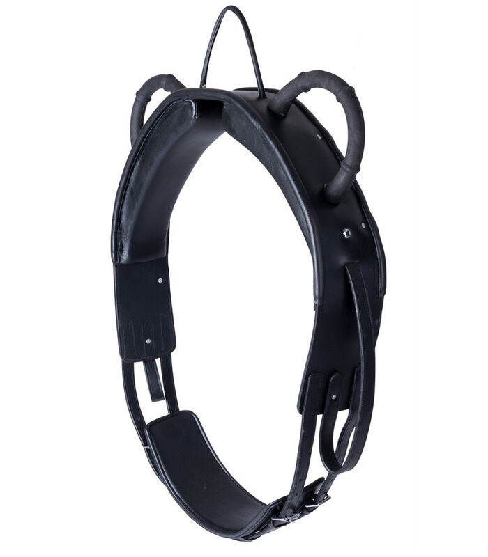 Waldhausen Leather Vaulting Surcingle