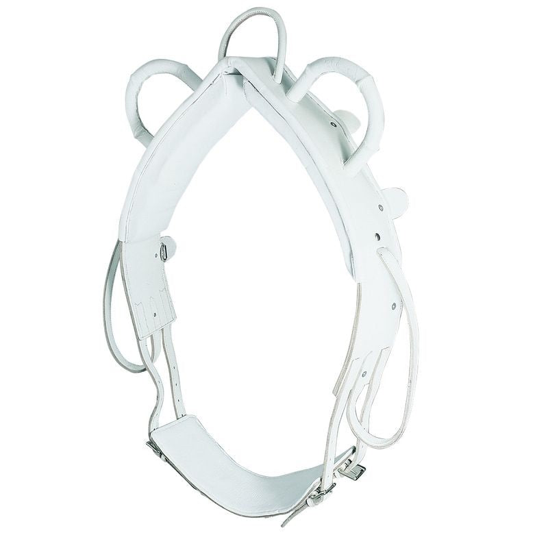 Waldhausen Leather Vaulting Surcingle
