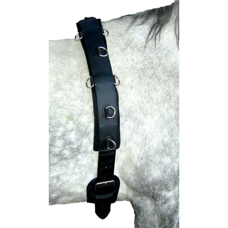 Neoprene Lunging Surcingle
