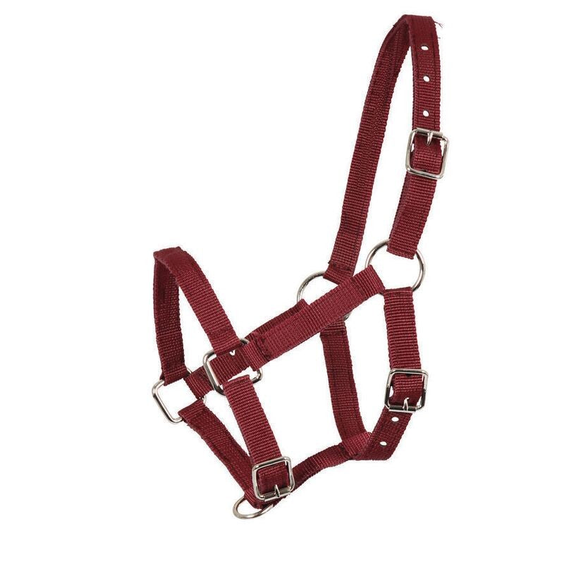 Waldhausen Perlon Foal Halter - Sagebrush Tack