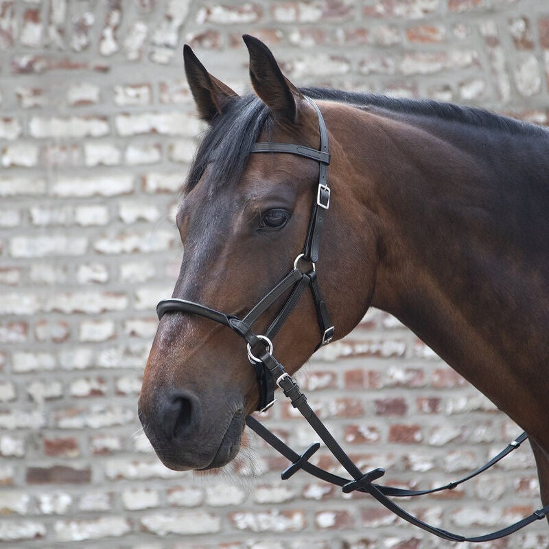 Linda Tellington-Jones "Lindell" Bitless Bridle - Sagebrush Tack