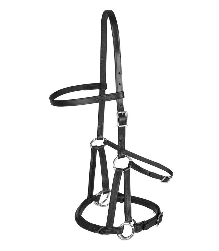 Linda Tellington-Jones "Lindell" Bitless Bridle - Sagebrush Tack