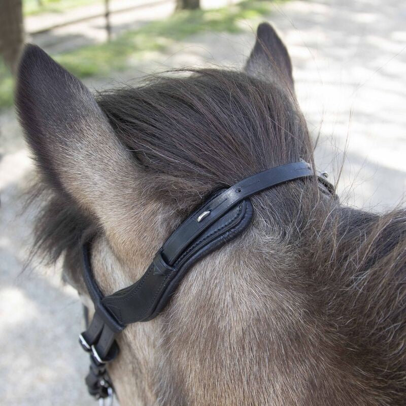 Waldhausen Anatomic Icelandic Bridle - Sagebrush Tack