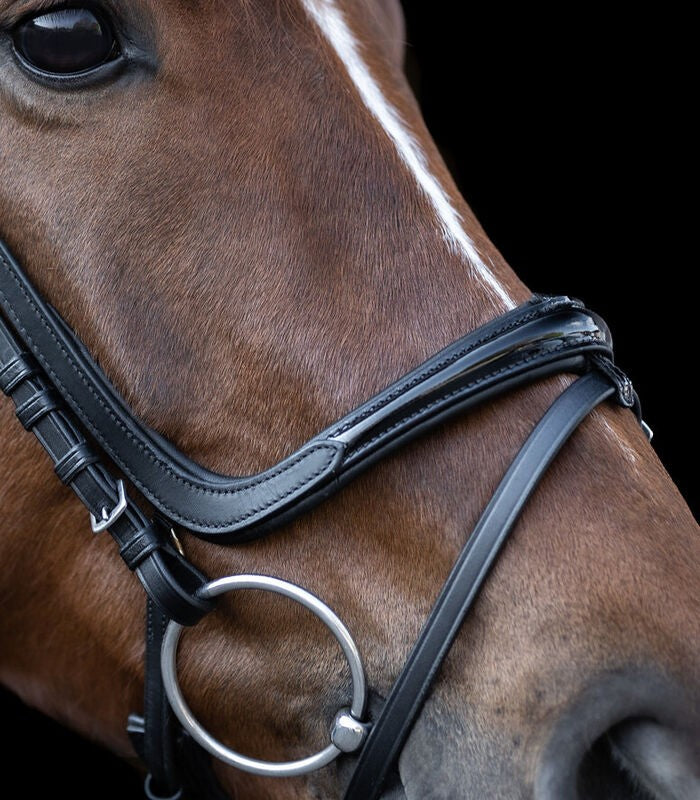 X-Line Freedom Bridle - Sagebrush Tack
