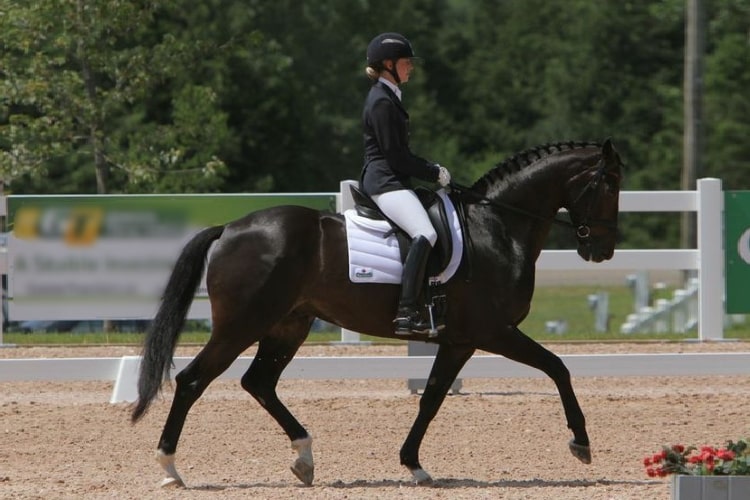 English Square Pads
