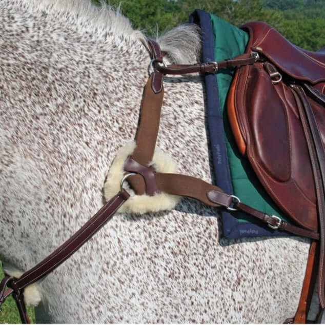 English Breastplates