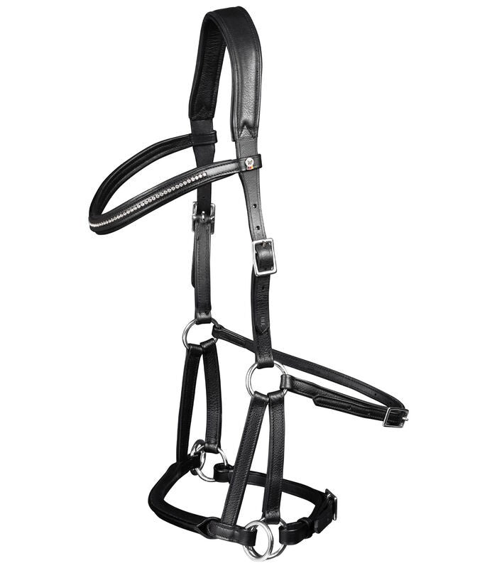 Bitless bridles