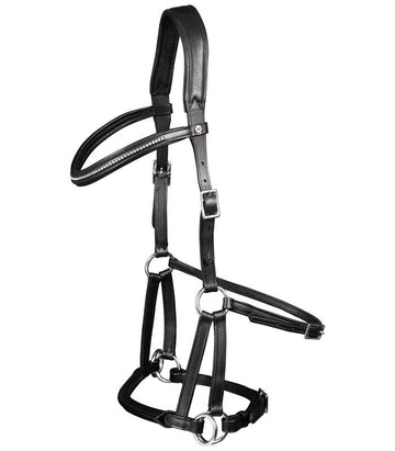Bitless bridles
