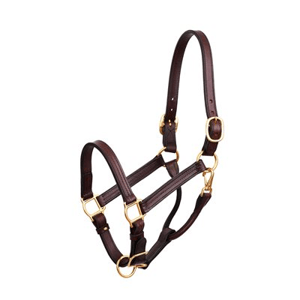 Perri's 1" Show Halter - Havana - Sagebrush Tack