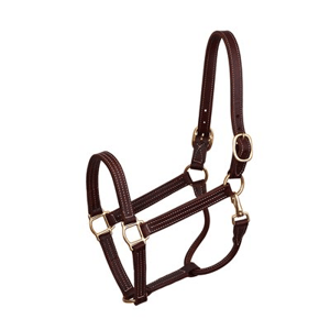 Perri's Professional 1" Triple Stitched Leather Show Halter - Sagebrush Tack