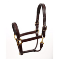 Perri's Fancy Stitched Padded Leather Halter - Havana w/Havana Padding - Sagebrush Tack