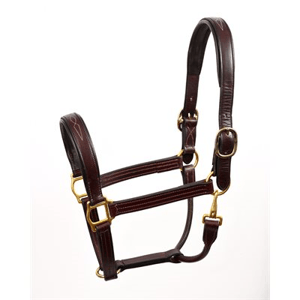 Perri's Fancy Stitched Padded Leather Halter - Havana w/Havana Padding - Sagebrush Tack