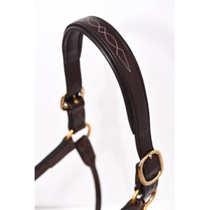 Perri's Fancy Stitched Padded Leather Halter - Havana w/Havana Padding - Sagebrush Tack