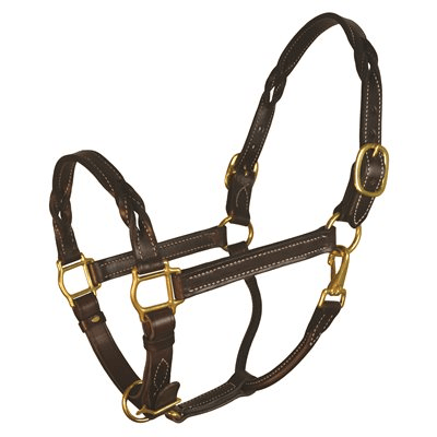 Perri's Twisted Leather Halter - Havana - Sagebrush Tack